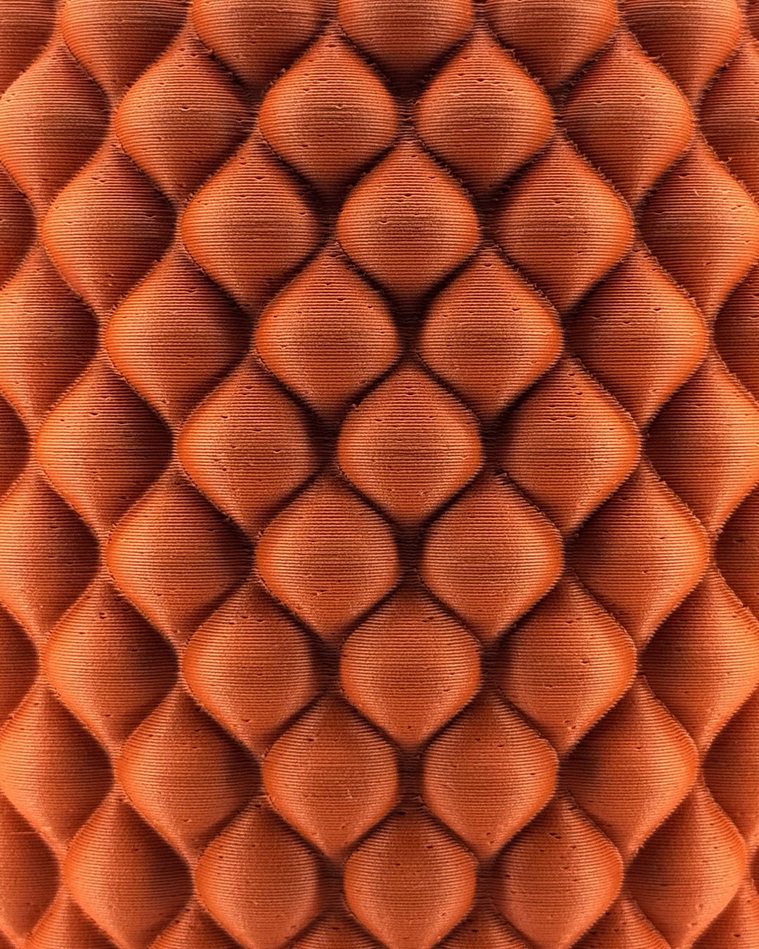 Second Gallery Image