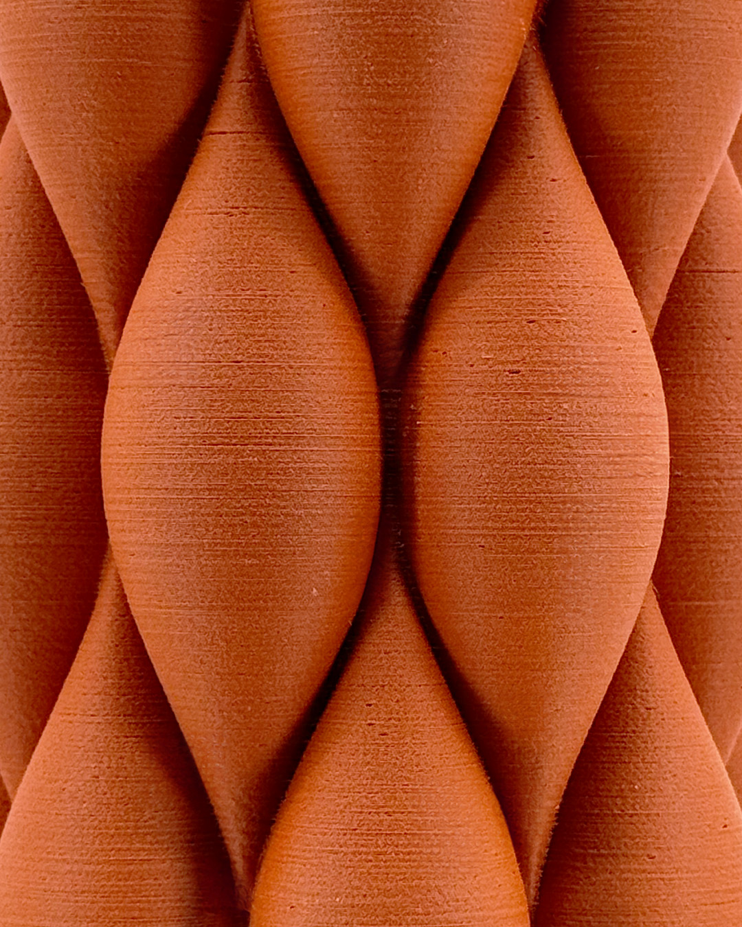 Second Gallery Image