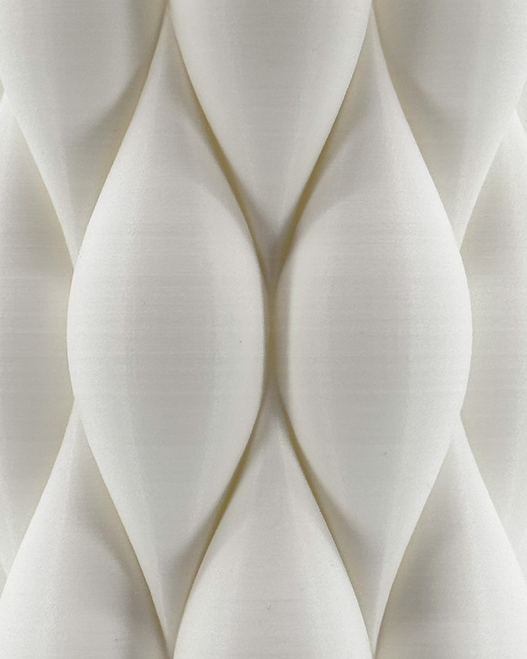 Second Gallery Image