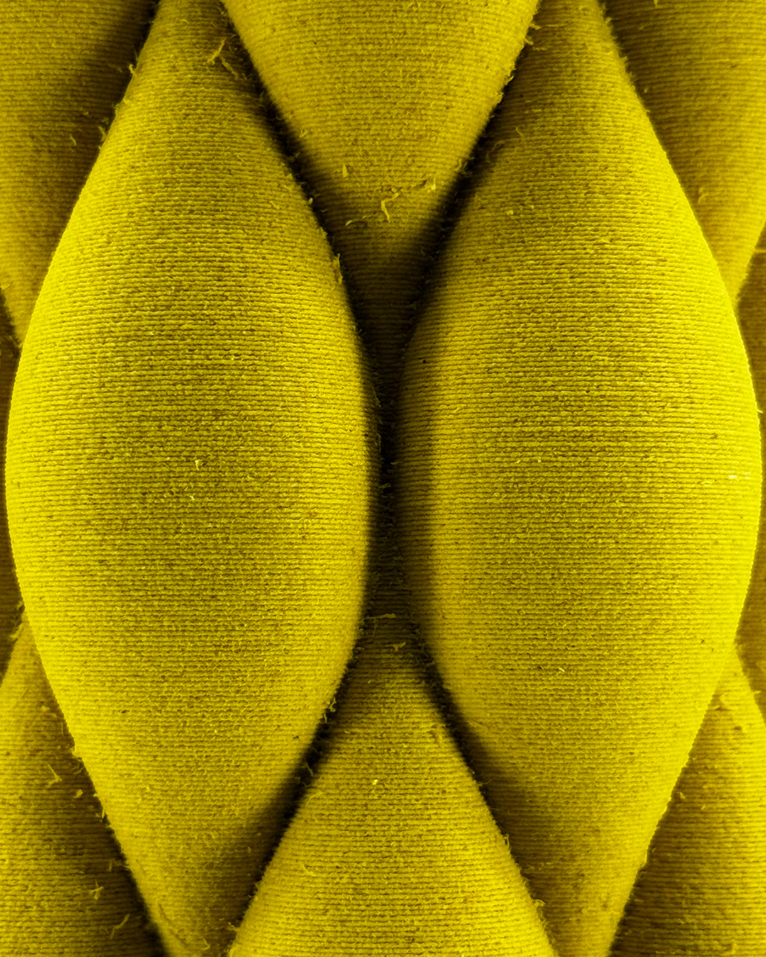 Second Gallery Image