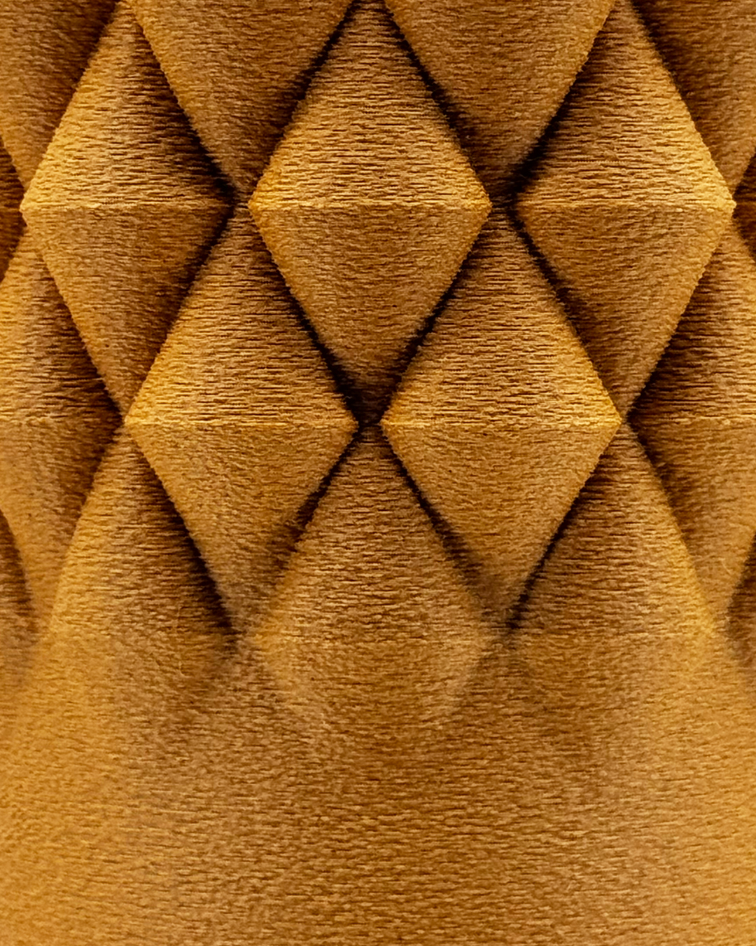 Second Gallery Image