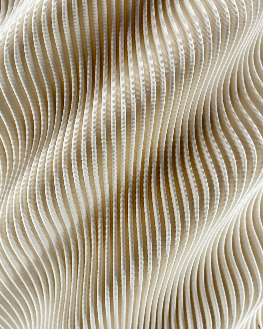 Second Gallery Image