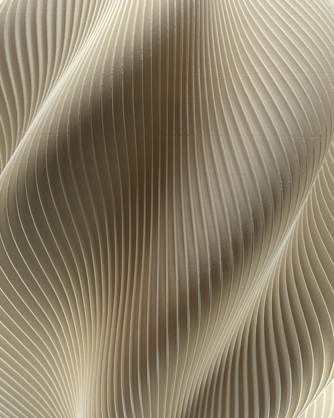 Second Gallery Image