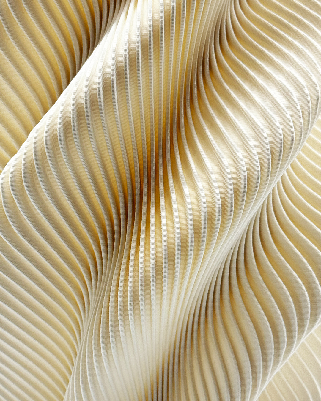 Second Gallery Image