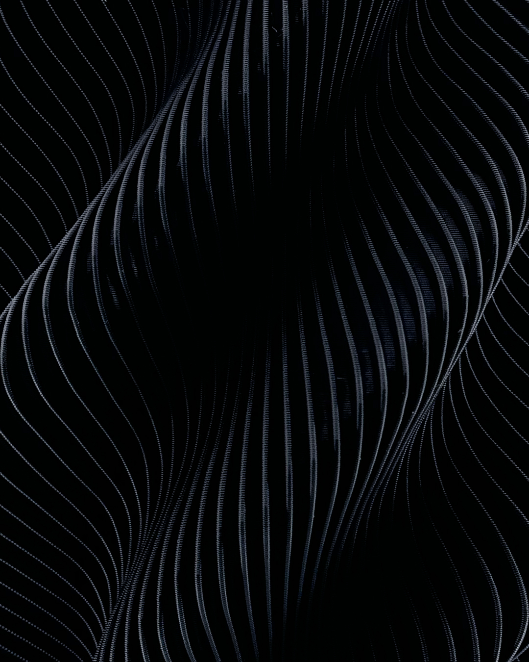 Second Gallery Image