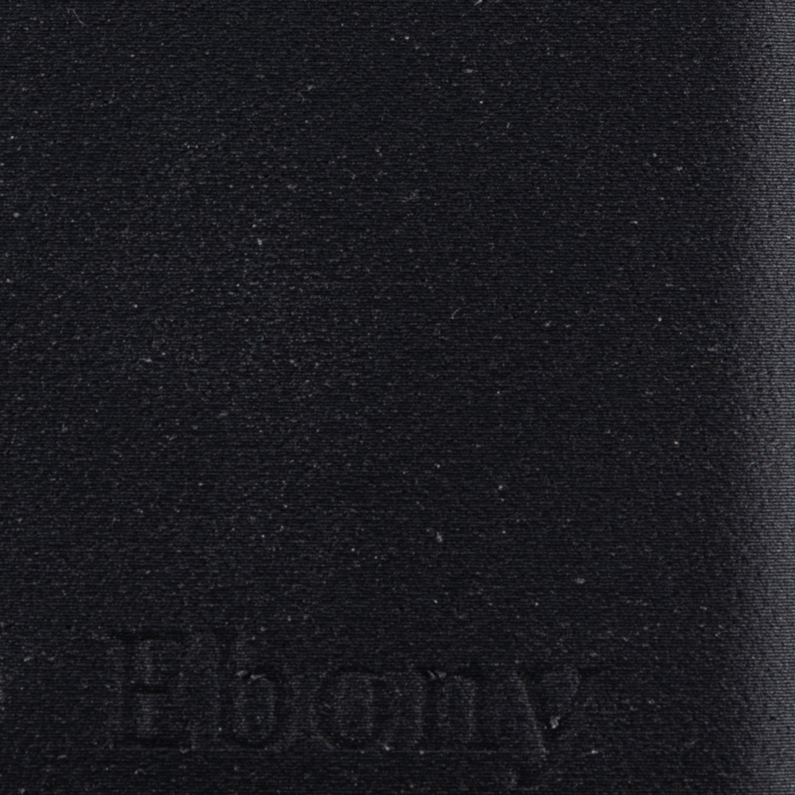 Second Gallery Image