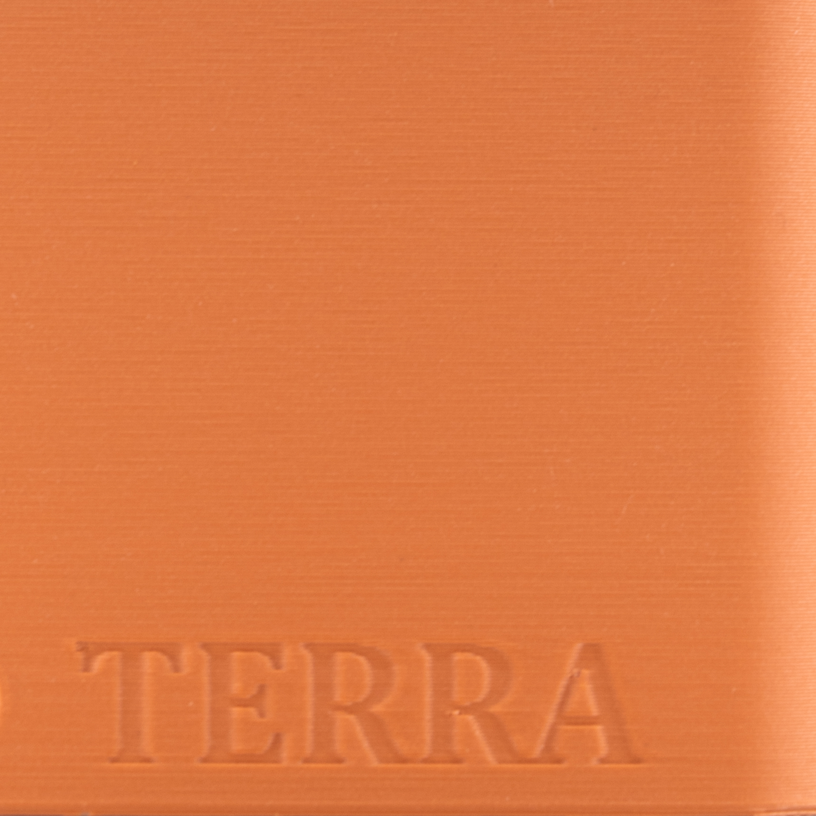 Second Gallery Image